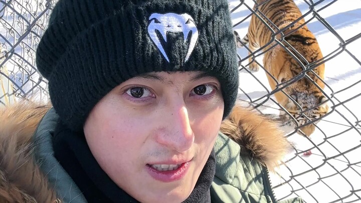 Động vật ở Đông Bắc có tài "tấu hài" cỡ nào?