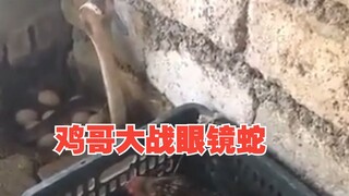 Saudara Jiji memang hebat!