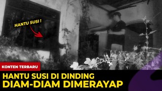 🔴 1533- HANTU SUSI !!! DIAM-DIAM MERAYAP DIDINDING