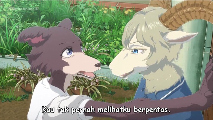 Beastars Final Season Part 2 Episode 2 Sub Indo