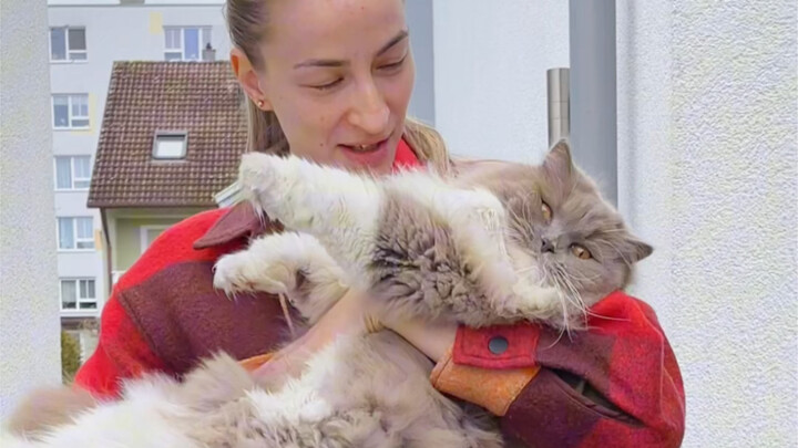 Our German neighbor hugs my cat like they’re hugging their own kid.