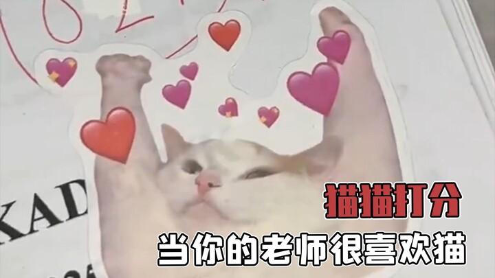 When you have a teacher who loves cats, belike