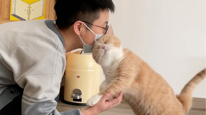 Ai mà hiểu được, nó ngoan quá đi mất!