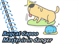 Bugcat Capoo| No! The master is in danger!