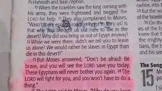 Daily Verse.                  Exodus 14:10-14