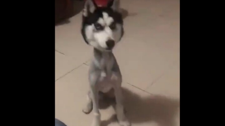 Is… is this really me?