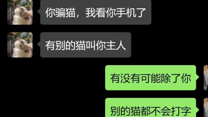 Khi chú mèo nhỏ của bạn thành tinh rồi (7)