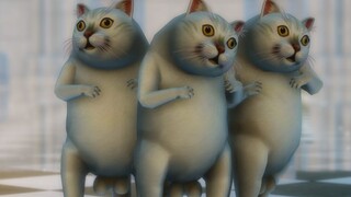 More strange cats!