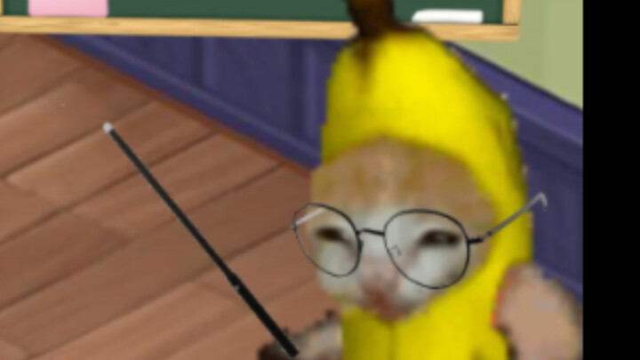 Banana Cat Teaches You How to Get Along Great in the Dorm!