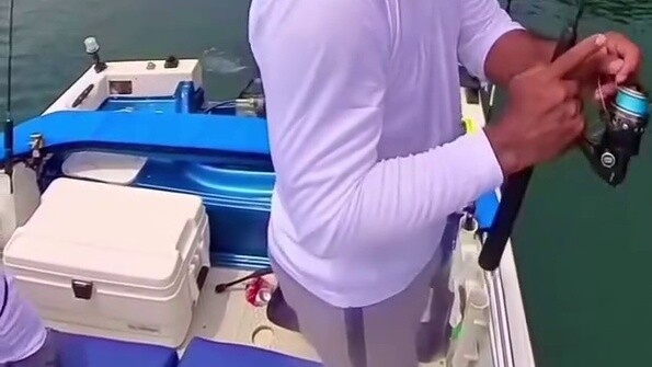 【Funny Daily Life of Earth Creatures #144】