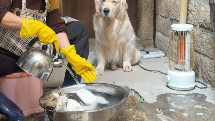 แม่ฉันบอกว่า ไม่ว่าจะเป็นอะไรก็ต้องล้างให้สะอาดก่อนปีใหม่!