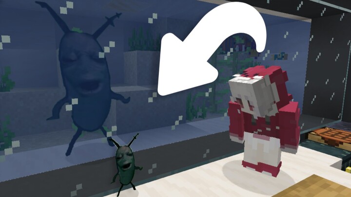 When the face of Mr. Krabs was added to the MC server (Player: When I found Mr. Krabs in my fish tan