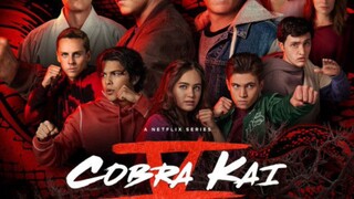 Cobra Kai Season 4 Episode 10 In Hindi Dub HD