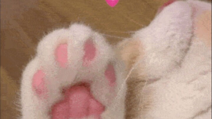 26 มิถุนายน