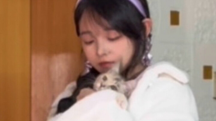 Trying to Dance Tokyo Flash with My Cat in My Arms