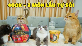 LẨU HAIDILAO TỰ SÔI? LẨU TỰ SÔI LÀM CÁC BÉ MÈO SIÊU NGẠC NHIÊN! | The Happy Pets #82