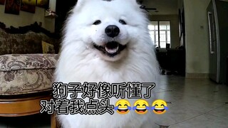 马上可以见到我日夜牵挂的海豹了！