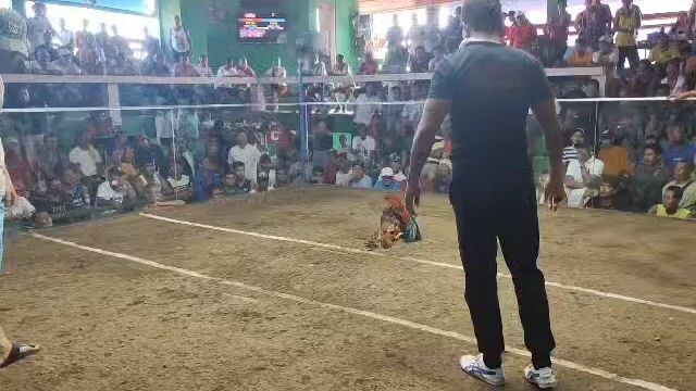 2nd Fight Champion po Ang inyo Double V GF sa Malabon Grande Gen trias Dec 2 2023💪👏🏆🐓