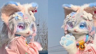 [Love Cycle] Will pink bubbles appear when you dance the old-fashioned house dance in furry costume?