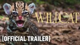 Watch Wildcat 2022      Documentary