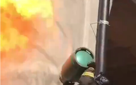 Bee: What merit do I have?