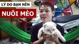 Lý do mà bạn nên nuôi mèo (Oops Banana Vlog #22)