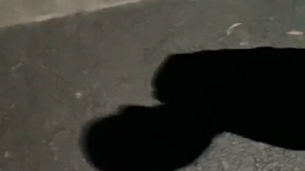 Centipede: He stepped right on my… waist!