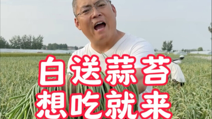 Hail is merciless, but people are kind—let’s come together to help farmers!