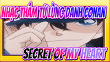 [Nhạc Thám tử lừng danh Conan] ED9 Secret of My Heart - Mai Kuraki