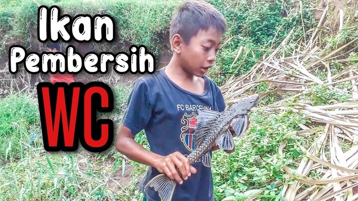 VLOG NGOBATI IWAK NANG KALI