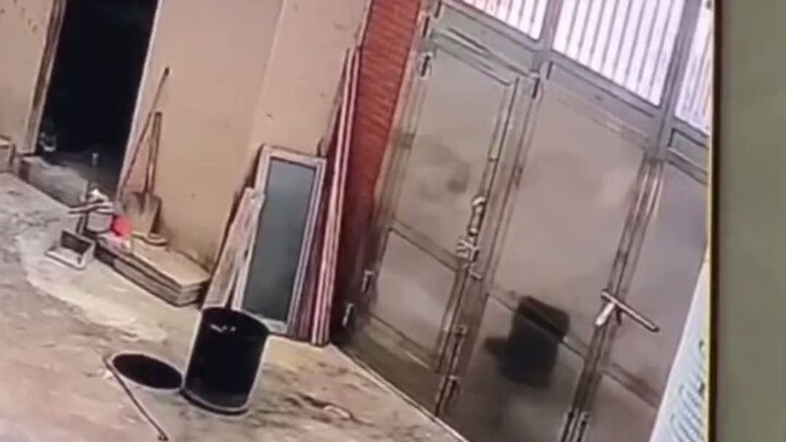 That delivery guy must’ve been practicing! No-look three-pointer—swish! The delivery’s on fire!