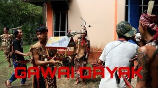 seperti ini lah keunikan gawai adat Dayak di desa kebong mengelilingi desa sambil minum tuak