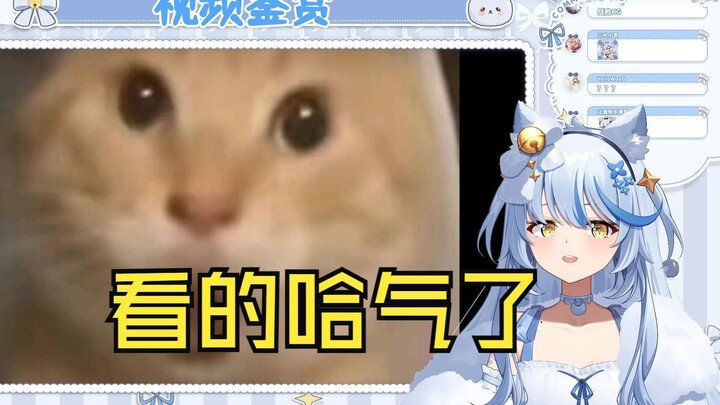 Elsa reads "【Three Supplements】The most detailed on the entire web! The third episode of "The Octoge