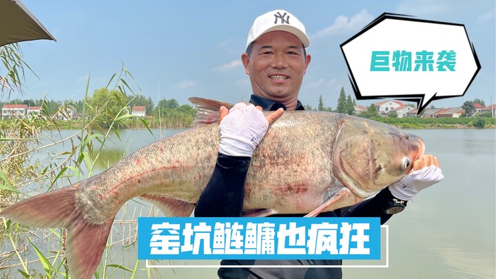 Carp and bighead carp go wild in the kiln pit!