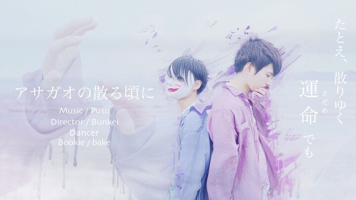 【ぶきばけ】牵牛花凋零之时 / アサガオの散る頃に【踊ってみた】【原创振付】