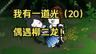我有一道光（20）偶遇柳二龙！