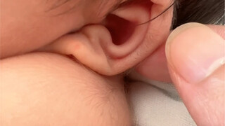 Mixed-breed little fluffy baby