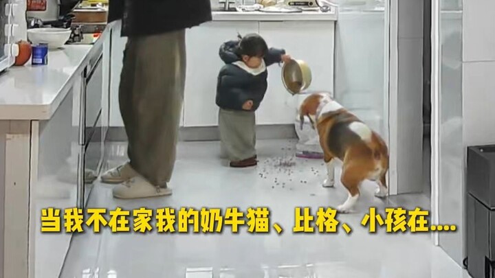 A Day in the Life of the World's Most Unapproachable Person