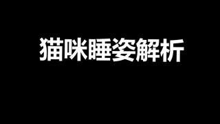 宠物冷知识：猫咪不同睡姿都因为什么？你家猫咪是怎么睡得？