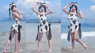 大海 沙滩 阳光 水着猫咪!我最可爱的地方💙黑皮体验
