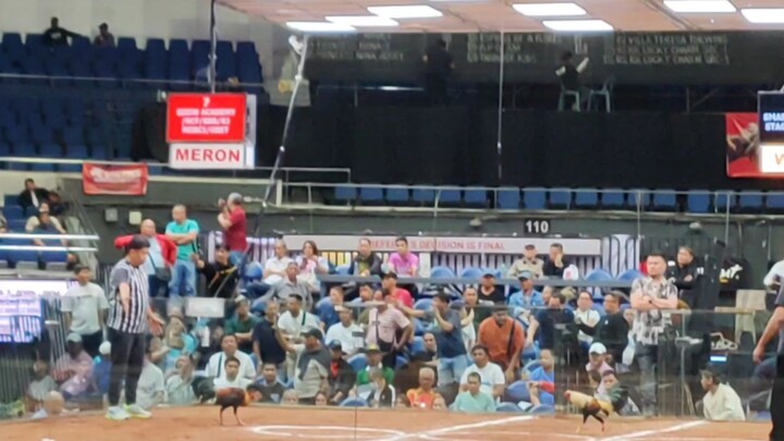 World Slasher Cup 1 2026 Airwolf x Blueface - LOSS