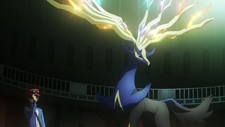 Gyarados: Apakah aku benar-benar akan melawan Xerneas?