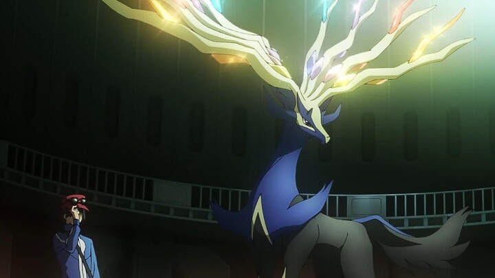 Gyarados: Am I really going to fight Xerneas?