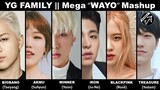 TREASURE - 6 giọng ca chính của YG cover WAYO - Bang Ye-dam