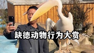 A Grand Showcase of Depraved Animal Behaviors