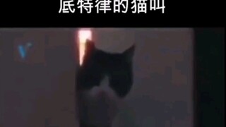 底特律的猫怎么叫？
