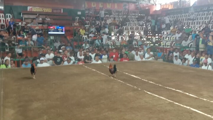 1st fight win 12/14/25 at Whales Daniel Cockpit Arena