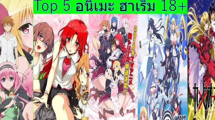 Top 5 อนิเมะ ฮาเร็ม/ต่อสู้/18+
