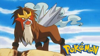 Pokémon Tập 261: Entei Và Bạn Bè Ở Suối Nước Nóng! (Thuyết Minh)