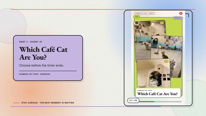 Siamese Cat Café #21 — Which Café Cat Are You? + Choose Your Café Companion